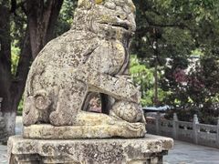 -报恩寺(平武县)