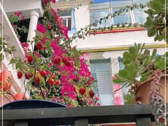 -尼玛藏家风味园(阿山食城店)