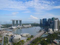 -新加坡瑞士史丹福酒店