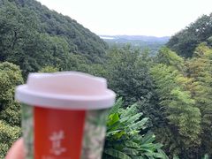 -灵隐飞来峰景区