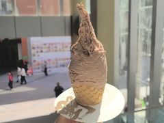 -野人先生现做冰淇淋(北京顺义祥云小镇店)