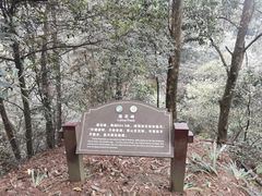 -缙云山景区