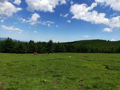 -芦芽山旅游度假区
