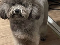 -瑞鹏宠物医院·超声·骨科·奇麟分院(蜀都万达店)