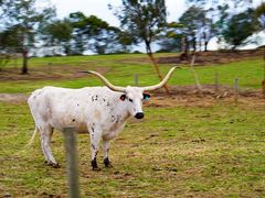 -威勒比开放式动物园