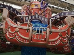 -南宫五洲植物乐园