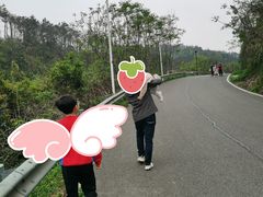 -青龙山国家森林公园