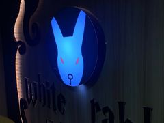 -白兔子密室(长寿路店)