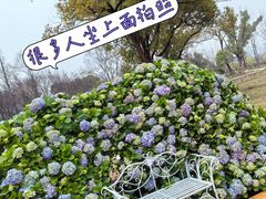 -苏州上方山国家森林公园