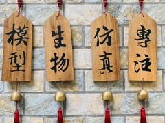 -小洲村