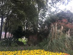 -艾溪湖湿地公园