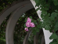 -西安世博园