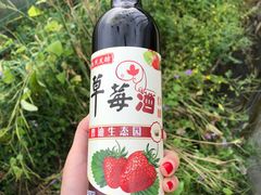-普迪生态园