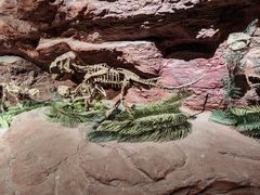 -安徽省地质博物馆