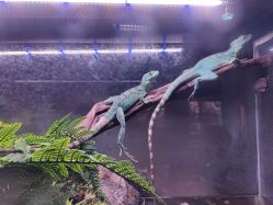 -Zoolung Zoolung动物主题公园(海信广场店)