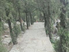 -浮来山风景区