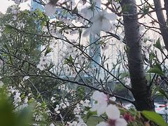 -汉江湾体育公园
