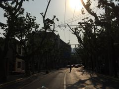 -璐坊粽王(复兴中路店)