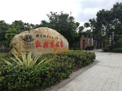 -大亚湾红树林城市湿地公园