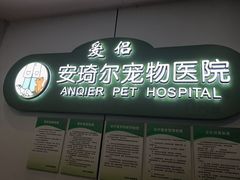 -爱侣·安琦尔宠物医院·中兽医针灸·心内科·狂犬免疫点(宝山区院)