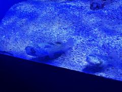 -石林冰雪海洋世界