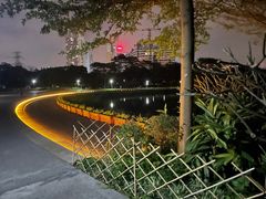 -福田红树林生态公园