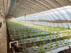 -万源龙顺度假庄园生态观光园