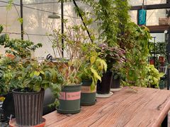 -MUSEO COFFEE咖啡博物馆