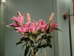 -南堂馆·新川菜(春熙路店)