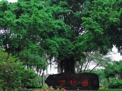 -万绿园