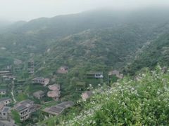 -枸杞岛