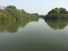 景点-大湾区中央湿地公园