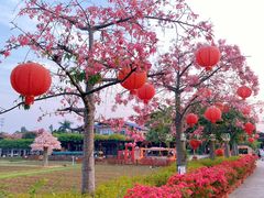 -盈香心动乐园