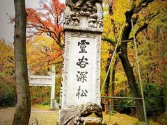 -灵谷景区