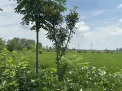 -沔阳会馆(沔街店)