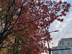 -上海外滩茂悦大酒店