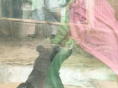 -昆明动物园