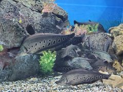 -石林冰雪海洋世界