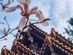 -东华门大街小区