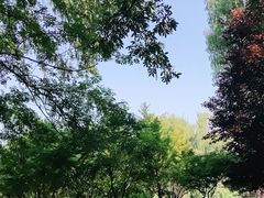 -洛阳市隋唐城遗址植物园