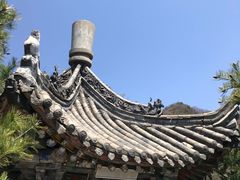 -王顺山国家森林公园