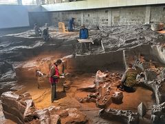 -自贡恐龙博物馆