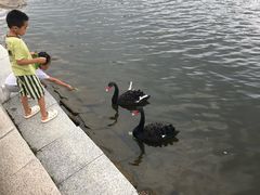 -长春世界雕塑园冰雪艺术天地