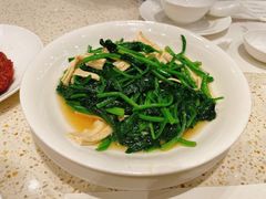 酒香腐竹菠菜-鼎泰丰(环贸店)