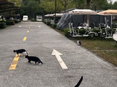 -汉长安城未央宫国家考古遗址公园