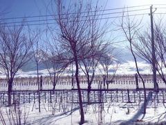 -长白山万达喜来登度假酒店