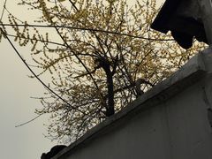 -张家港凤凰山景区恬庄古街