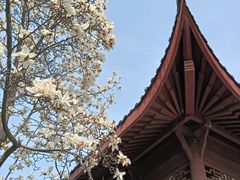-堤角公园