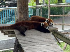 -水上乐园·欢乐世界