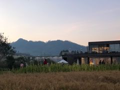 -禾悦庄餐厅